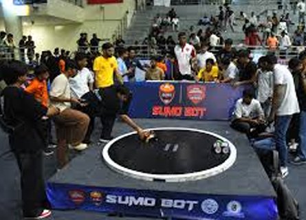 Sumo Bot